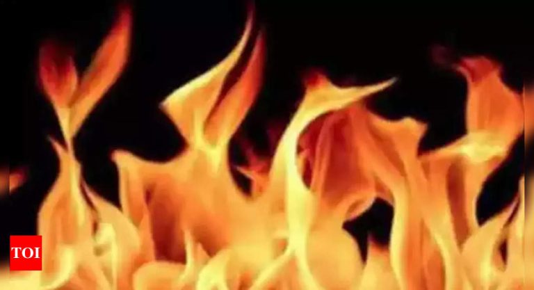 Man self-immolates protesting ‘move to impose Hindi on Tamil Nadu’ | Chennai News