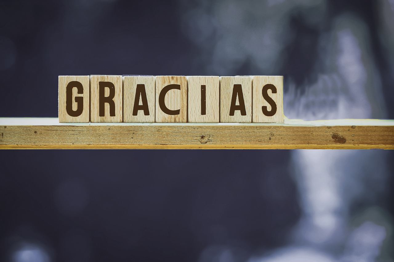 Thanks, gratitude, happy birthday — Bansuriya Man Har Lyrics From Tumhare Liye [English Translation]