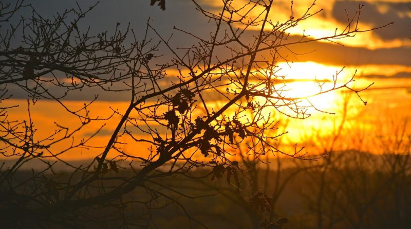 Poetic, sun, treetop — Bhoot Raja Bahar Lyrics From Chacha Bhatija [English Translation]