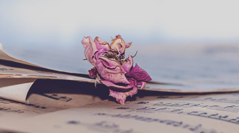 Music sheet, music, dry rose — GODDAMN LYRICS - Jerry | LyricsGoal