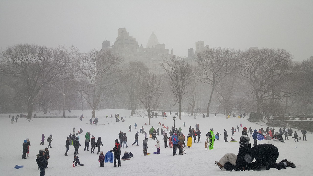Snow, central park, new york — Kari Lake election lawsuit 'far from over,' university warns against using 'American' and more