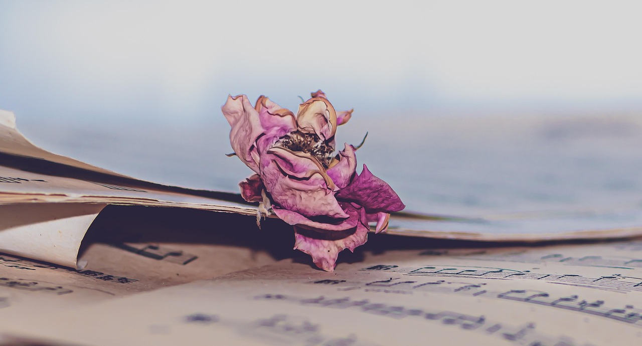 Music sheet, music, dry rose — One Two Cha Lyrics From Shalimar [English Translation]