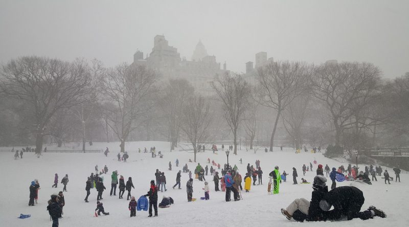 Snow, central park, new york — Should You Store Items Like Wedding Dresses in a Self-Storage Locker?