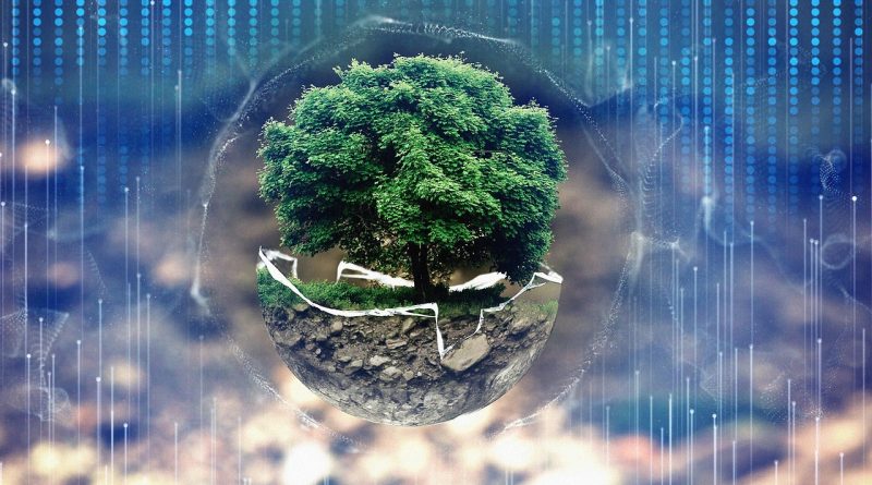 Forest, environmental protection, environment — Tessy Thomas Age, Husband, Family, Biography & More
